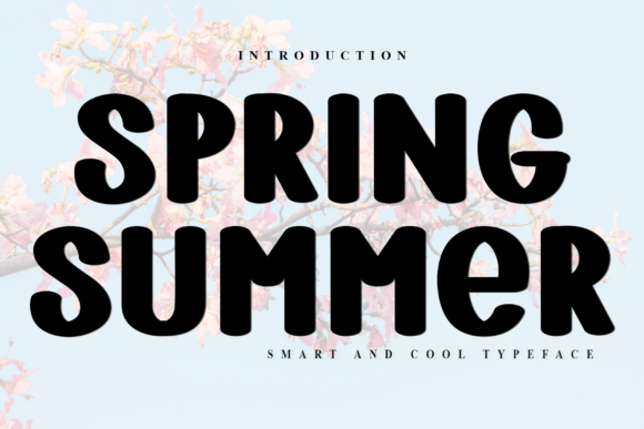 Spring Summer Font for Festive Campaigns